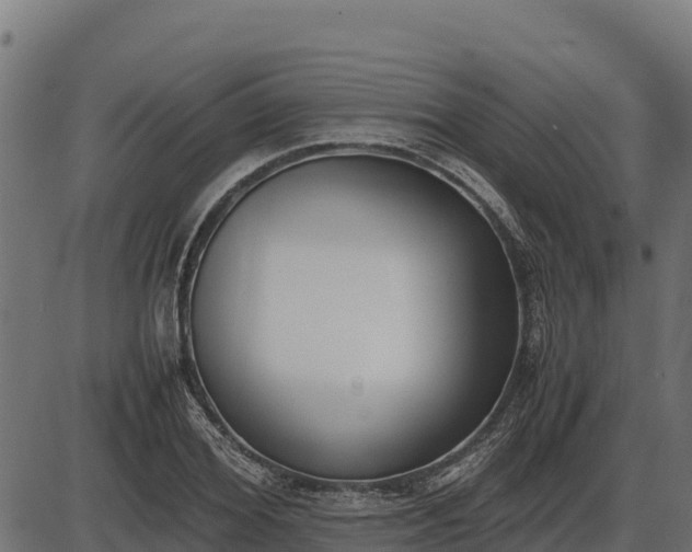 X0000086310980200704091042