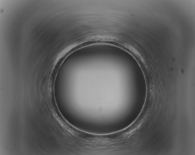X0000086310981200704091042