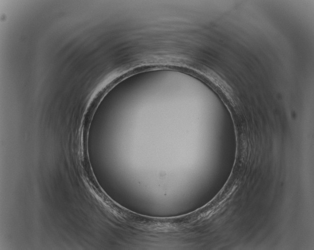X0000086310982200704091042