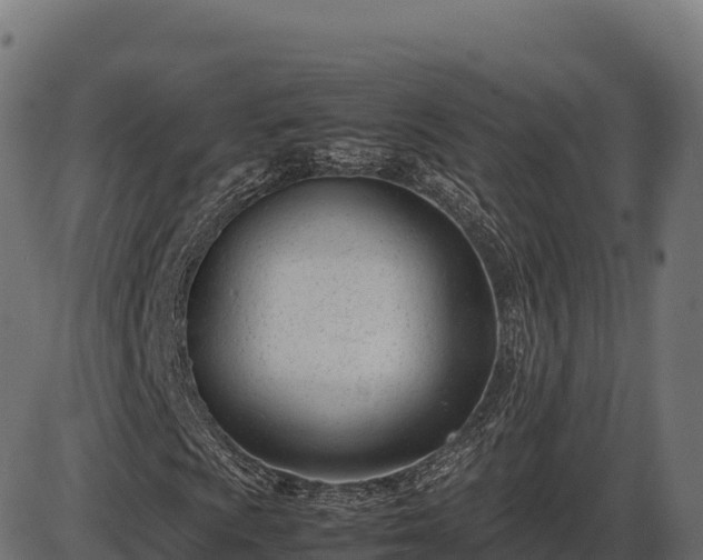 X0000086311009200704091041