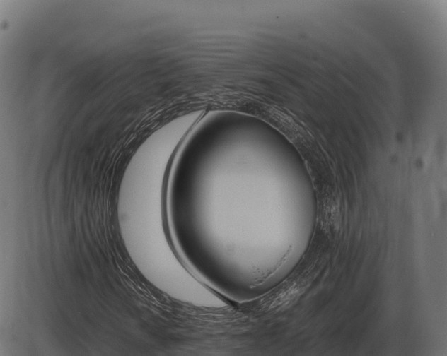 X0000086311010200704091041