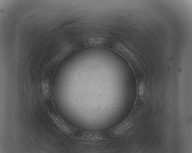X0000086311011200704091041