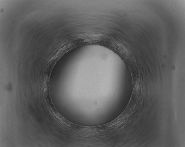 X0000086311012200704091041