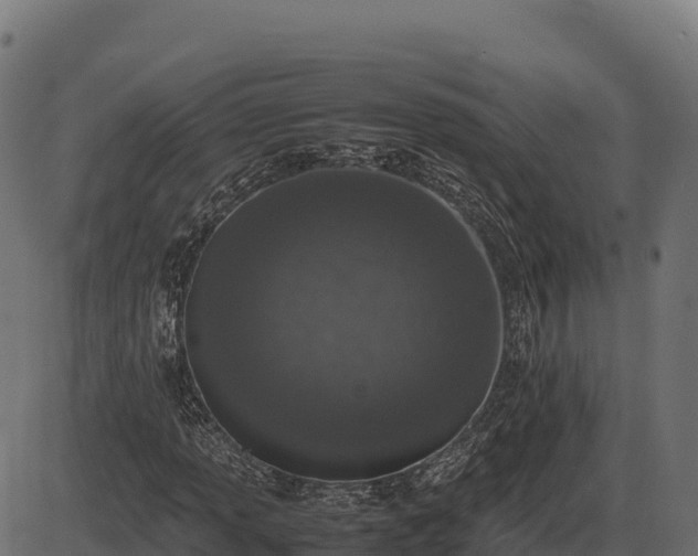 X0000086311013200704091041