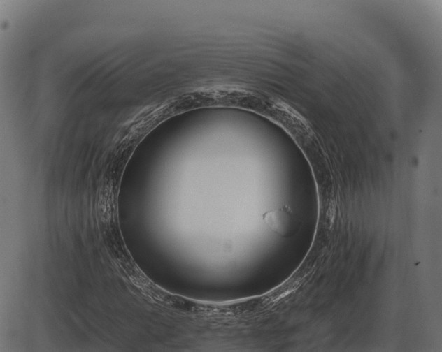 X0000086311014200704091041