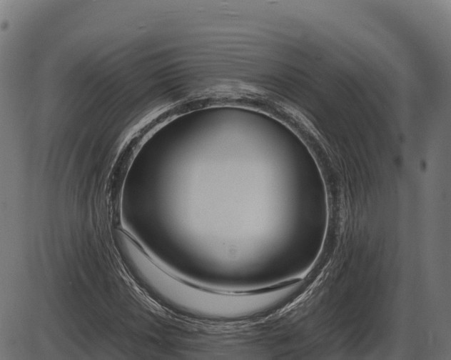 X0000086311018200704091041