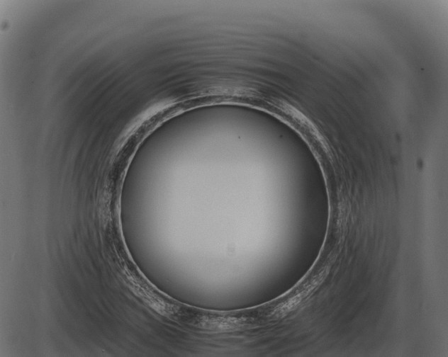 X0000086311019200704091041