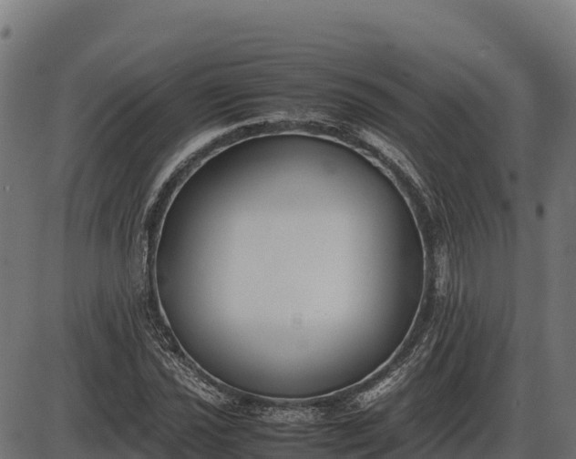 X0000086311021200704091041