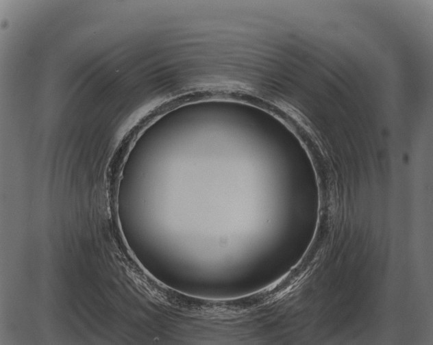 X0000086311022200704091041