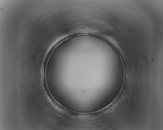 X0000086311032200704091041