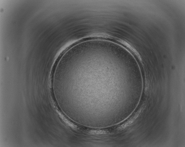 X0000086311037200704091042