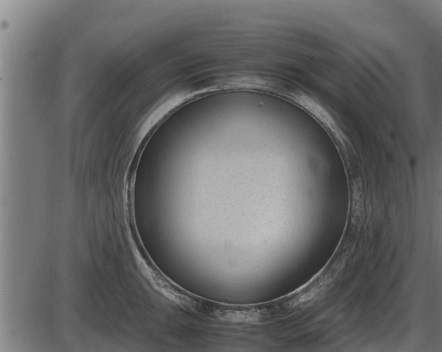 X0000086311047200704091042