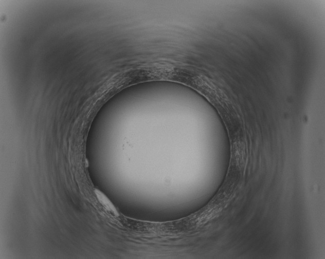 X0000086311057200704091041
