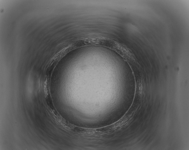 X0000086311060200704091041