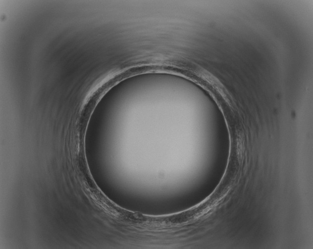 X0000086311069200704091041