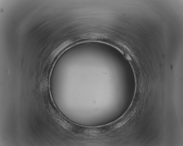X0000086311073200704091041