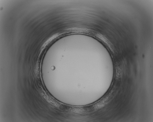 X0000086311074200704091041
