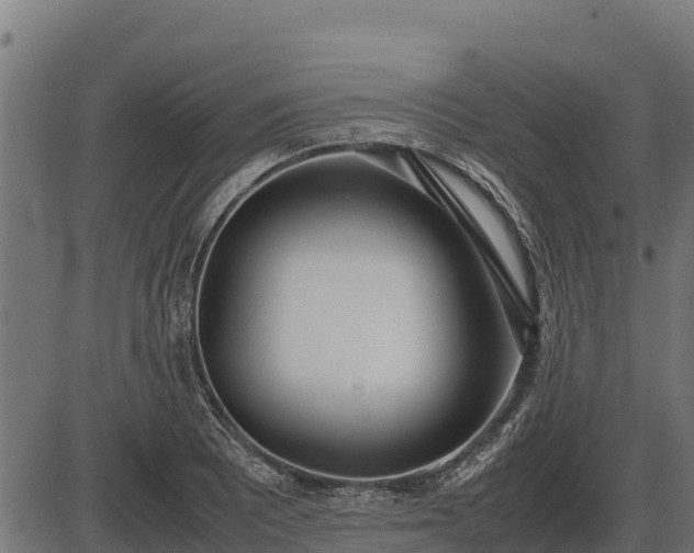 X0000086311081200704091041