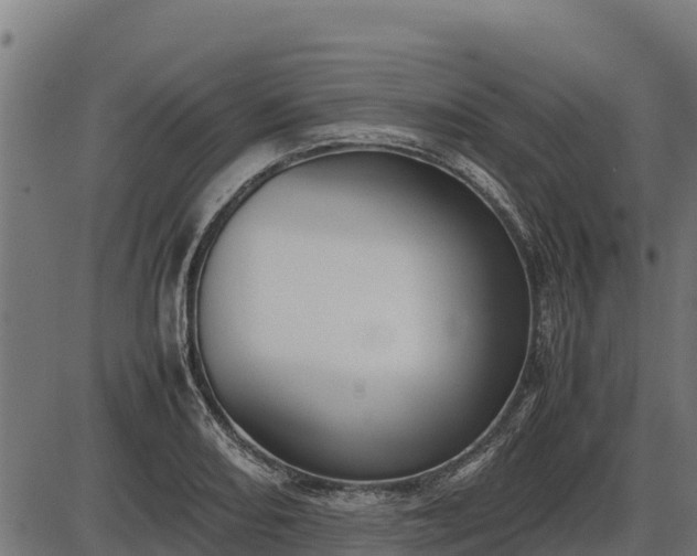 X0000086311082200704091041