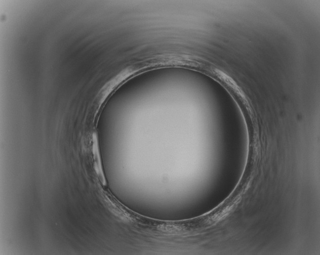 X0000086311089200704091041