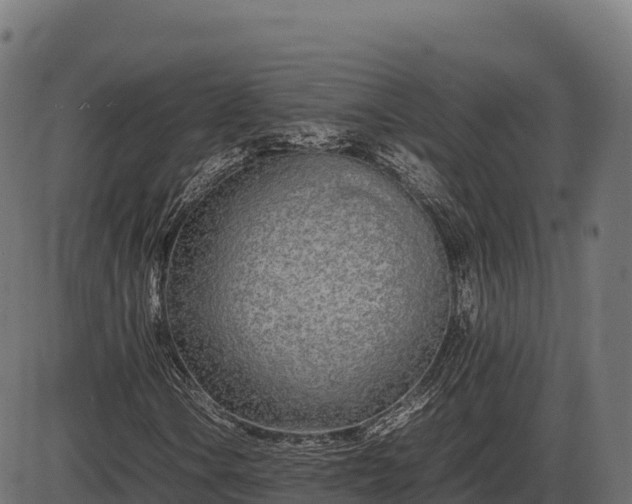 X0000086311106200704091039
