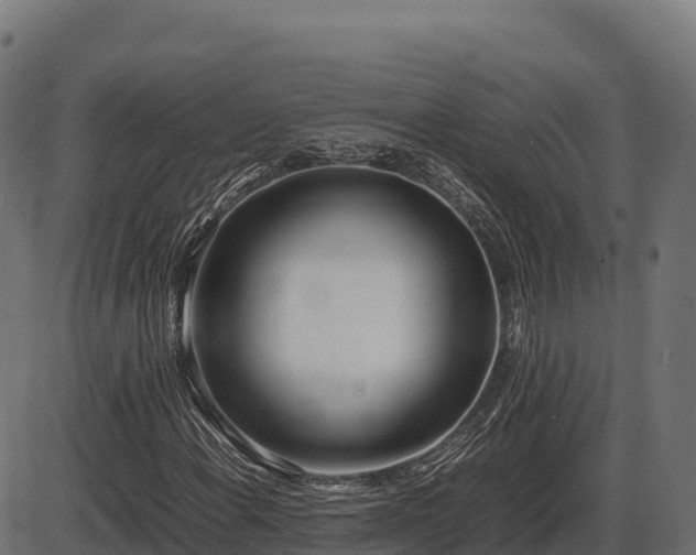 X0000086311108200704091040