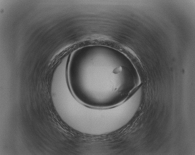 X0000086311112200704091040