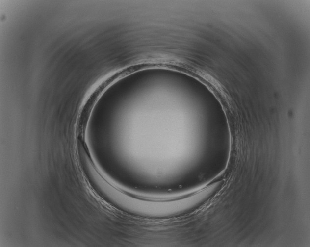X0000086311120200704091040