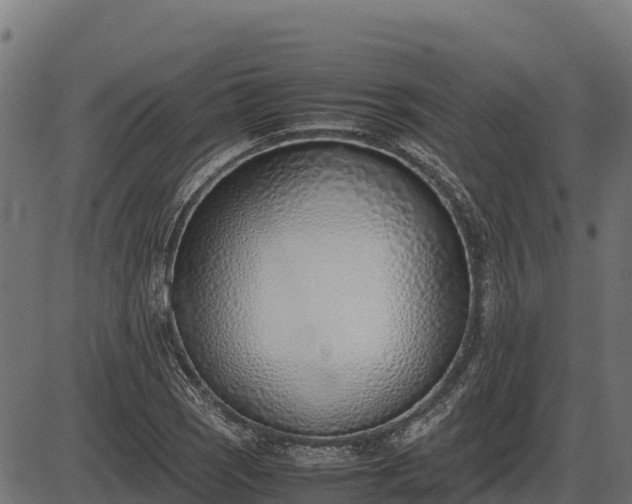 X0000086311121200704091040