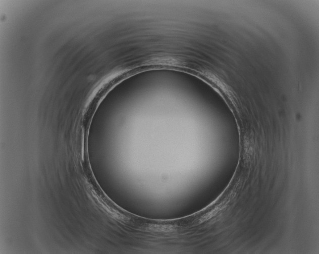X0000086311123200704091040