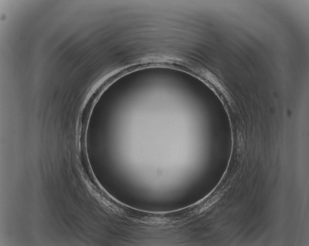 X0000086311124200704091040