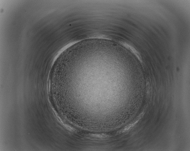 X0000086311125200704091040