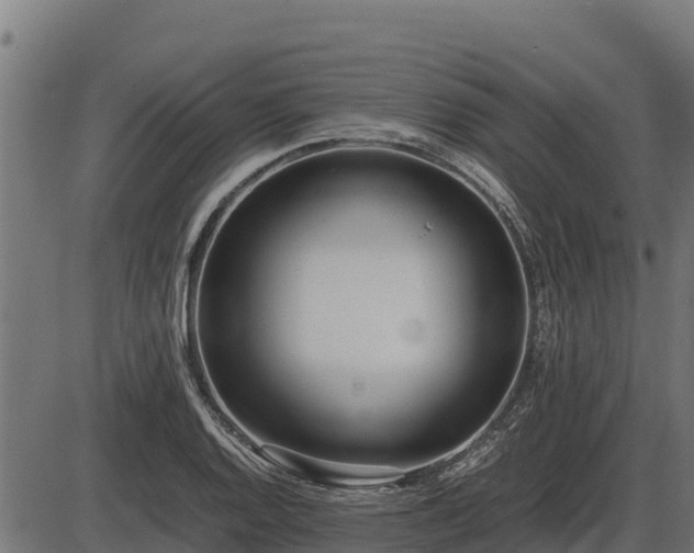 X0000086311128200704091040