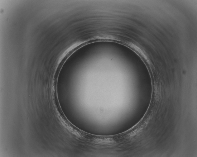 X0000086311133200704091040