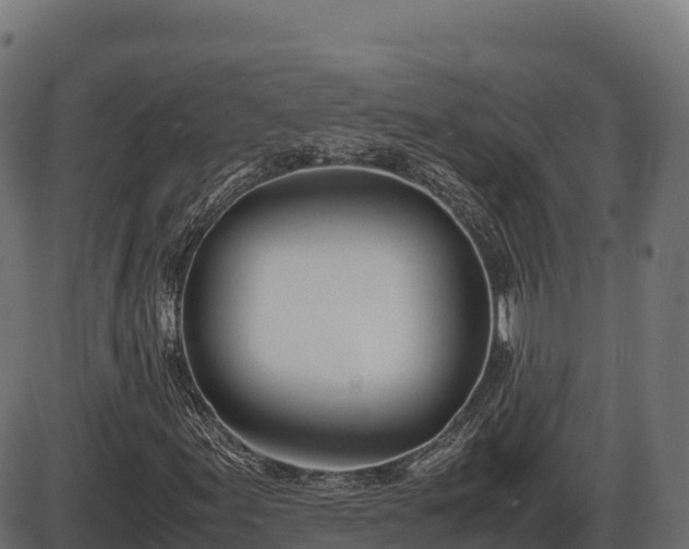 X0000086311155200704091039