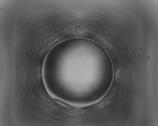 X0000086311156200704091039