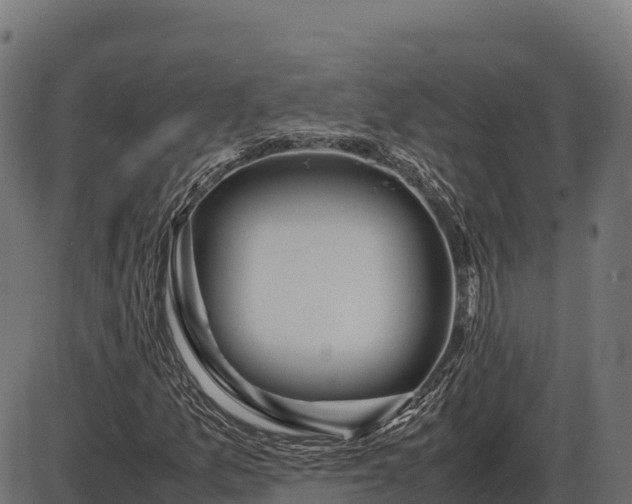 X0000086311157200704091039
