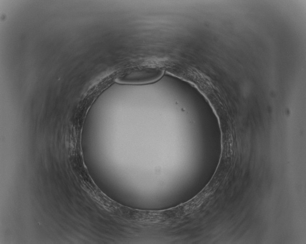 X0000086311158200704091039