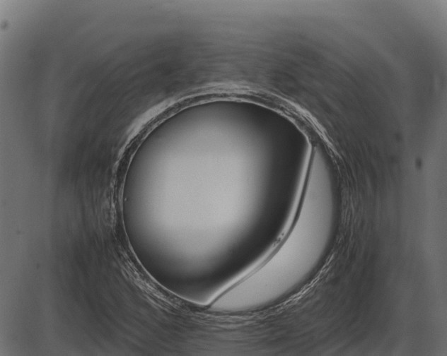 X0000086311168200704091039