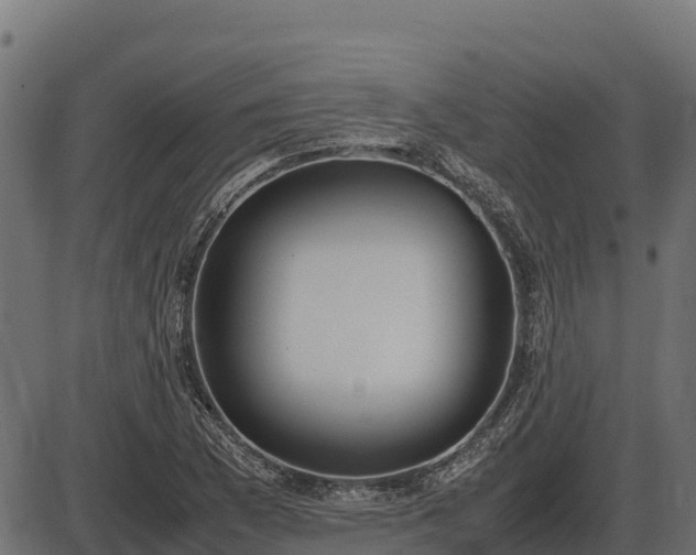 X0000086311169200704091039