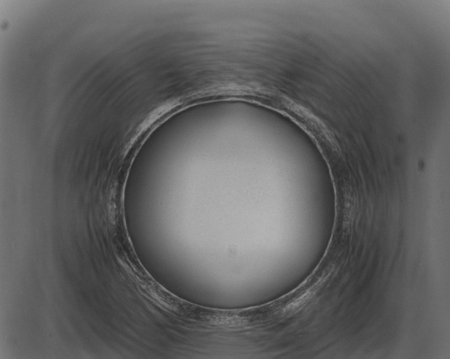 X0000086311170200704091039