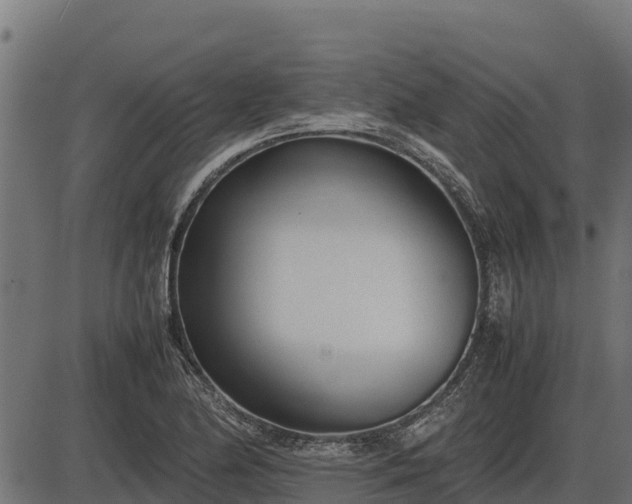 X0000086311174200704091039