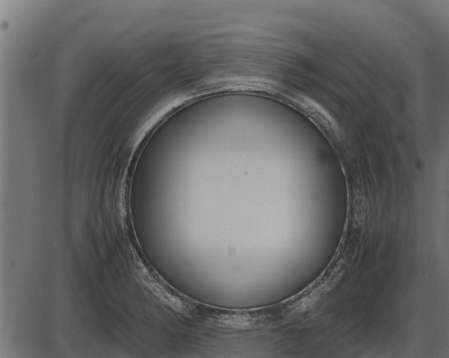 X0000086311182200704091039