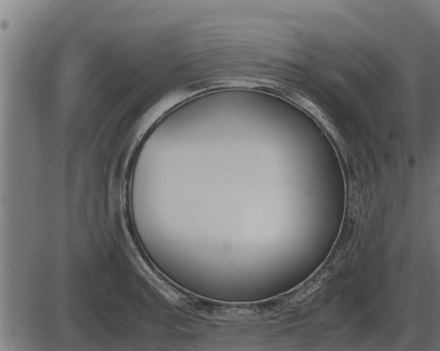 X0000086311187200704091039