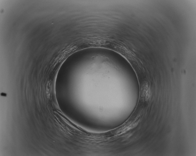 X0000086311202200704091038