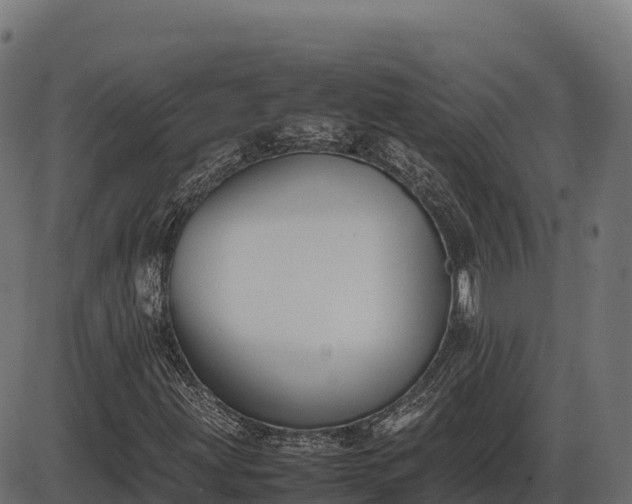 X0000086311203200704091038