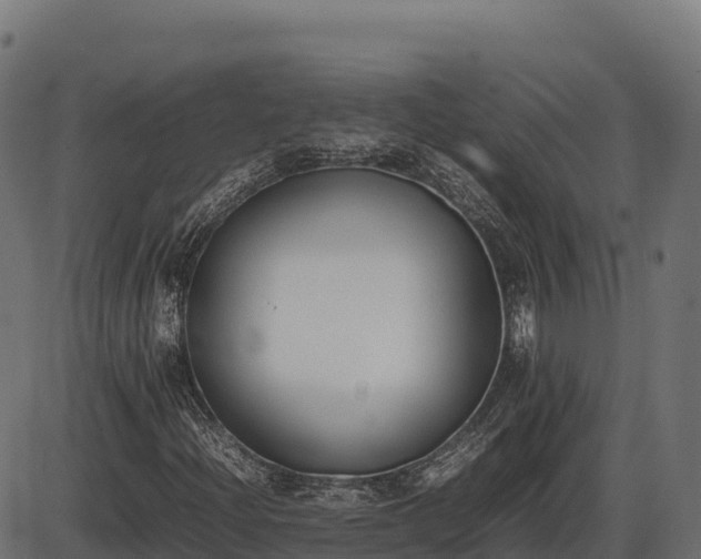 X0000086311204200704091038