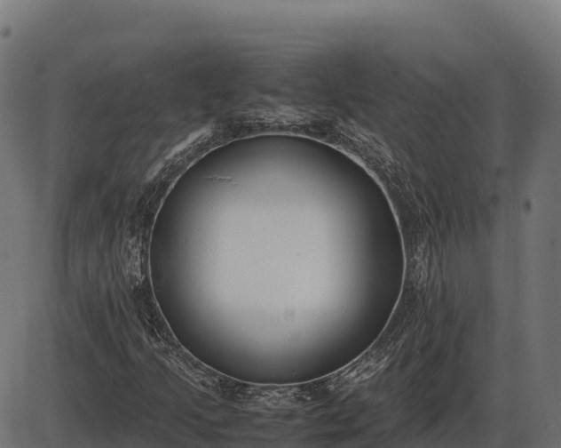 X0000086311205200704091038