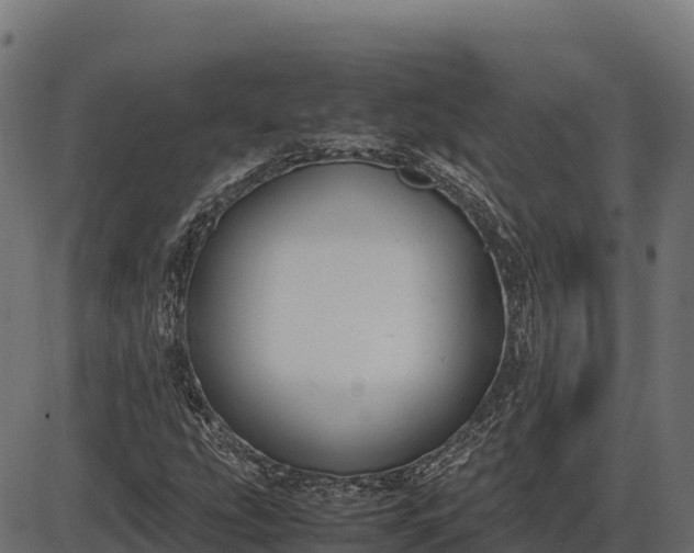 X0000086311207200704091038