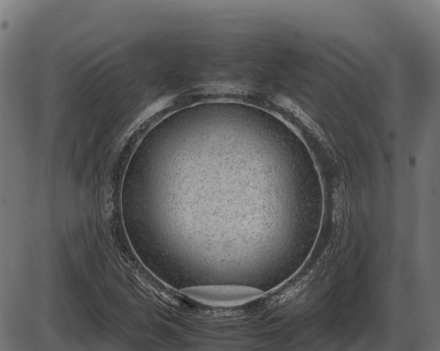 X0000086311213200704091038